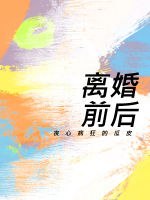 离婚前后苏言夏庭晚 封面