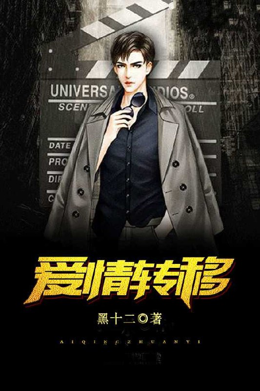 老张赵雨儿 封面