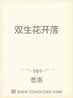 双生花开落 封面