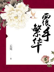 覆手繁华 封面