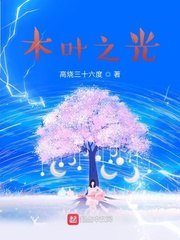 木叶之光 封面