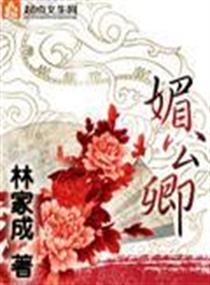 媚公卿 封面