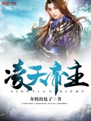 凌天帝主 封面