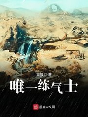 唯一练气士 封面