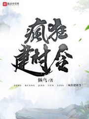 疯狂建村令 封面