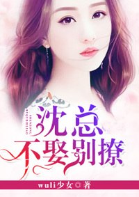 林夕颜沈司谨律师 封面