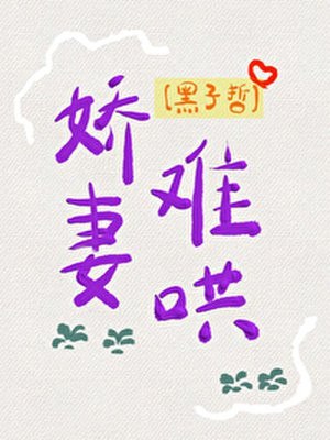 娇妻难哄 封面
