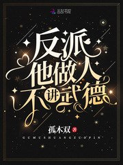 反派他做人不讲武德 封面