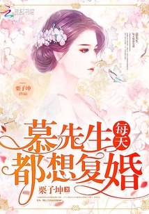 慕先生每天都想复婚 封面