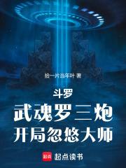 斗罗:武魂罗三炮,开局忽悠大师 封面