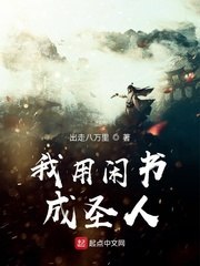 我用闲书成圣人 封面