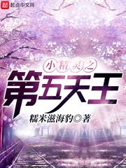 小精灵之第五天王 封面