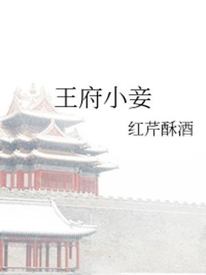 王府小妾 封面