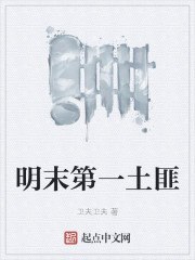 明末第一土匪 封面