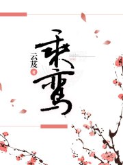 乘鸾 封面
