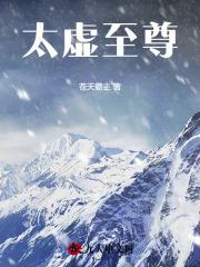 太虚至尊 封面