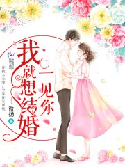 一见你我就想结婚 封面