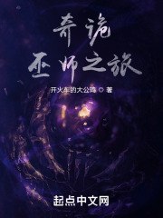 奇诡巫师之旅 封面