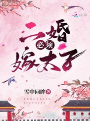 二婚必须嫁太子 封面