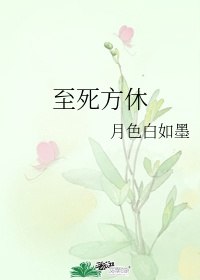 至死方休 封面