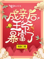 成亲后王爷暴富了 封面