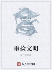 重捡文明 封面