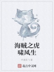 海贼之虎啸风生 封面