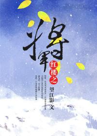 红楼之将军 封面