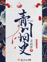青川旧史 封面