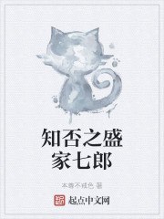 知否之盛家七郎 封面