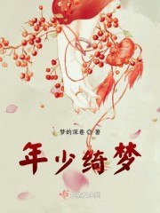 年少绮梦 封面