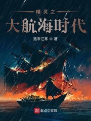 精灵之大航海时代 封面