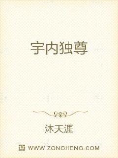 宇内独尊 封面