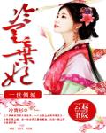 谁家江山倾城天下岳青婴 封面