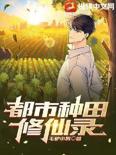 炮机 封面