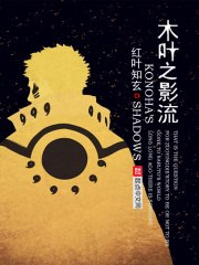 木叶之影流 封面