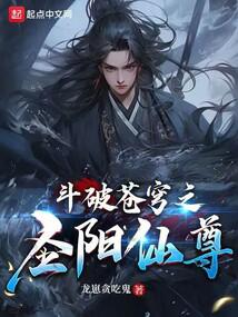 斗破苍穹之圣阳仙尊 封面