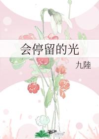 会停留的光 封面