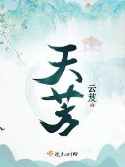 天芳 封面