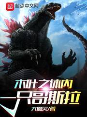 木叶之体内一只哥斯拉 封面
