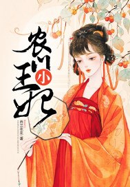 农门小王妃 封面