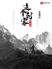 这个刺客有毛病 封面
