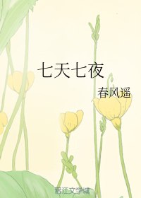 七天七夜 封面