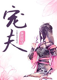 宠夫 封面