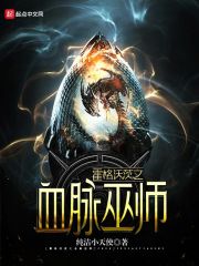 霍格沃茨之血脉巫师 封面