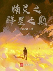 精灵之群星之巅 封面