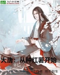 大唐：从种红薯开始 封面
