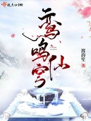 鸾鸣仙穹 封面