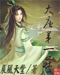 大唐第一庄 封面