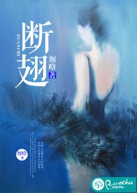 断翅 封面